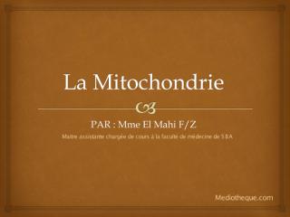 mitochondrie 10.pdf